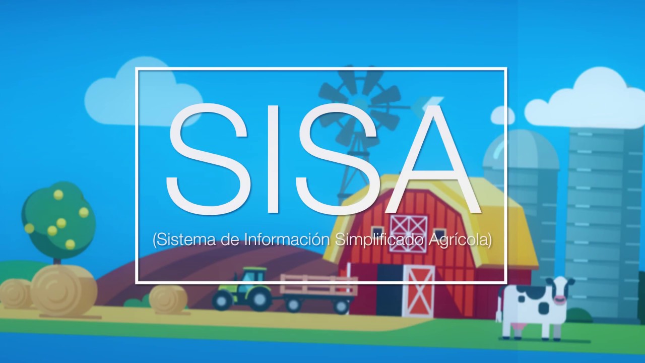 Nuevo taller Online en vivo SISA -LUNES 17/12 de 18.30 a 20.30 hs.